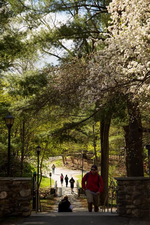 park scene