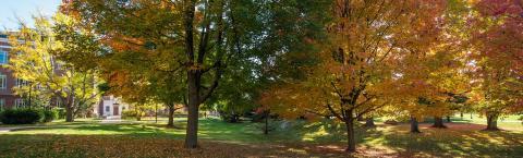 campus in autumn