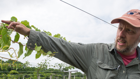 man showing harvest